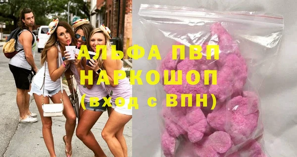 ECSTASY Богородицк